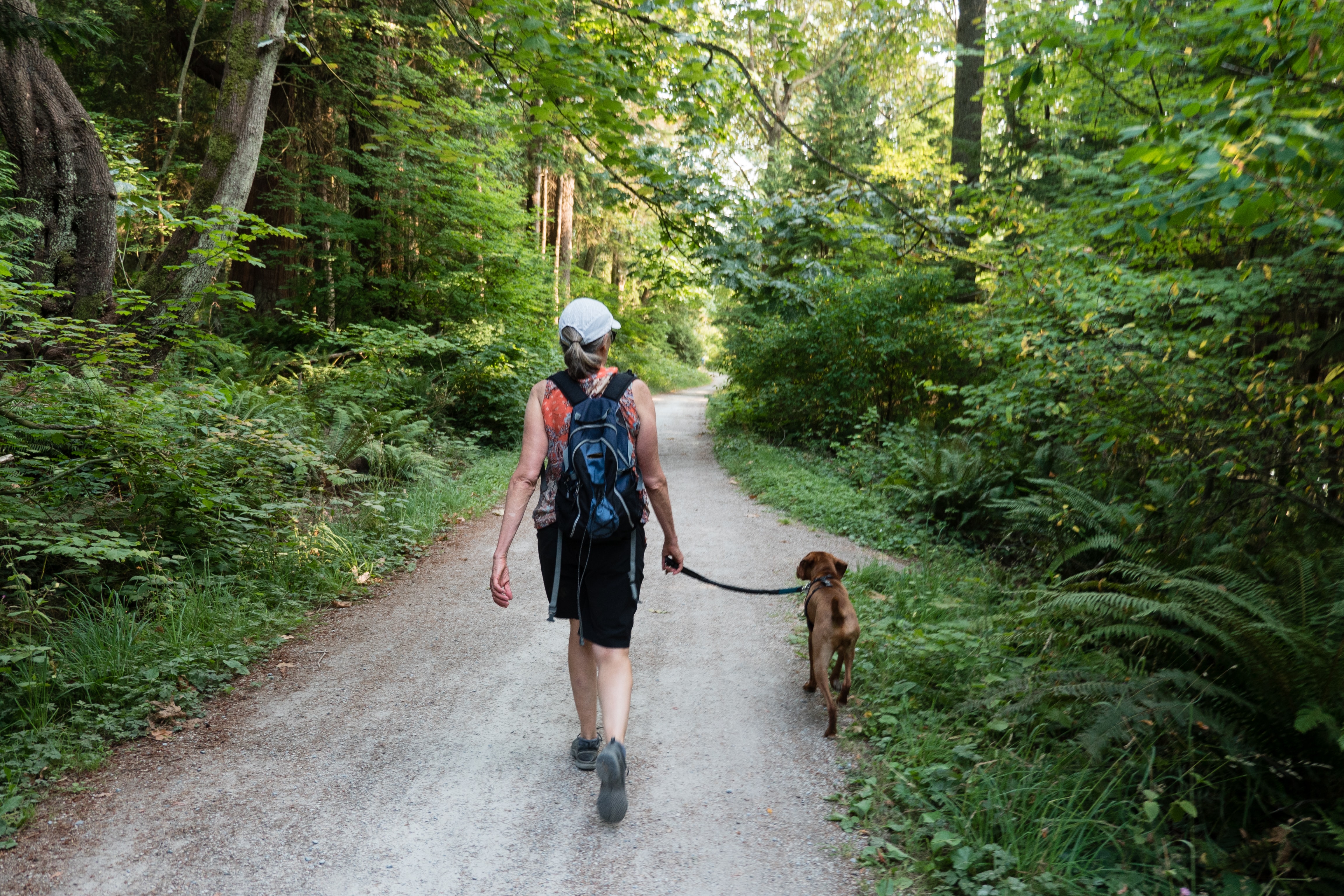  person walking a dog